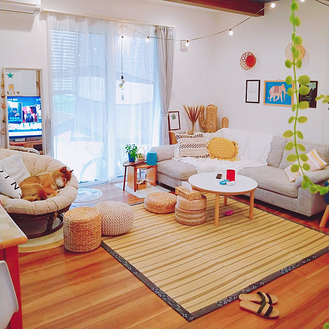 ニトリ パパサンチェアのおすすめ商品とおしゃれな実例 ｜ RoomClip