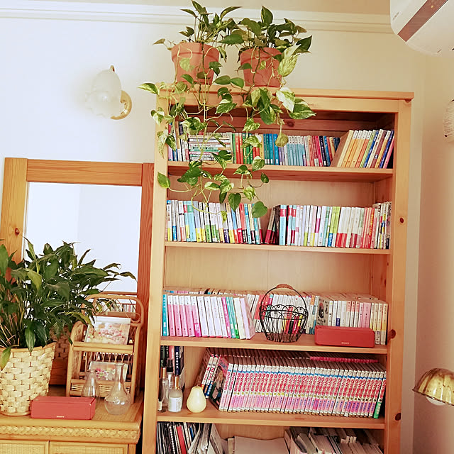 IKEA/イケア/通販]HEMNES ヘムネス 本棚, ライトブラウン[EK](a