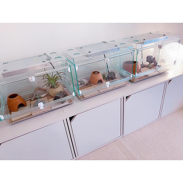 自作ケージ/爬虫類ケージDIY/爬虫類ケージ/爬虫類/DIYなどの