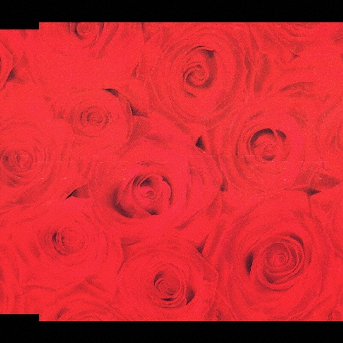 涙のキッス/サザンオールスターズ