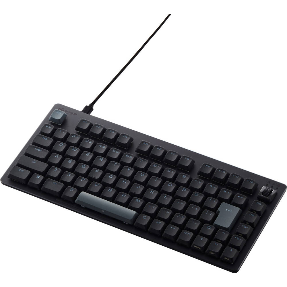 ELECOM エレコム V custom TK-VK720ALBK 有線 日本語配列テンキーレス