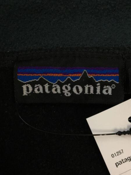 patagonia(パタゴニア) / 90s/95年製/ライトウェイトシンチラビッグT