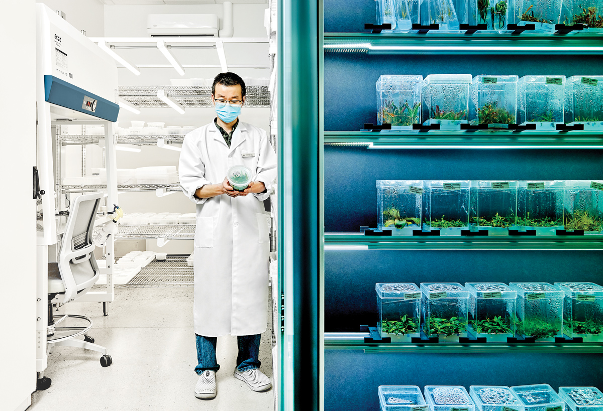 The Southeastern Center for Conservation works to preserve native