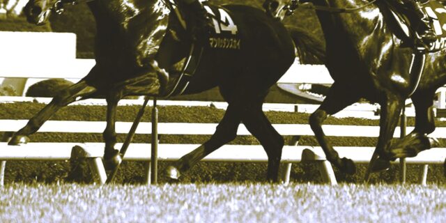 若駒ステークス予想2026】ディープインパクト以来の大物誕生なるか