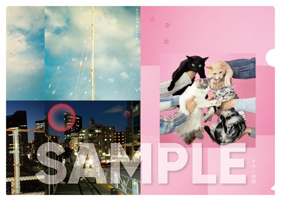 きのこ帝国『猫とアレルギー』『愛のゆくえ』『タイム・ラプス