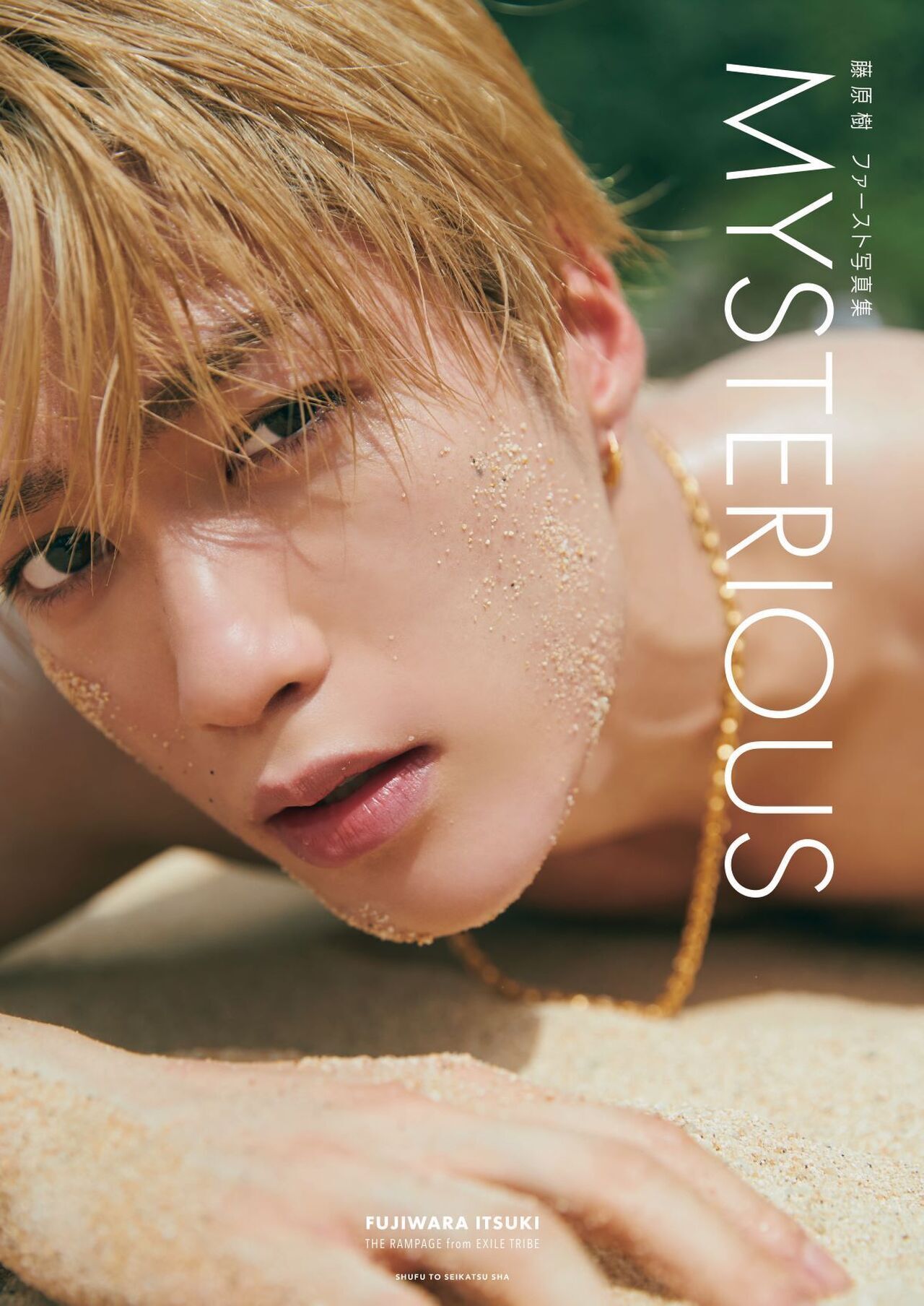 藤原樹クッション縁日 特賞激レア PRIMALSPIDERTHE RAMPAGE