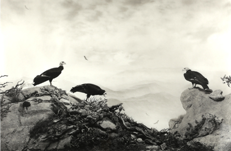 杉本博司 ポスター ジャコメッティ 杉本博司 ジャコメッティ ポスター