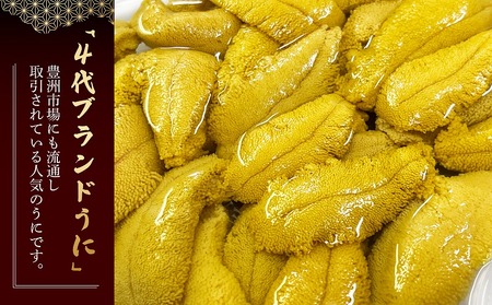 2026年発送】まるひろ橘水産の折生うに（約250g） 雲丹 ウニ