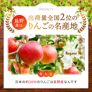 訳あり ぐんま名月約5kg 【2026年先行予約】 | ヤマモ農園 | 長野県松