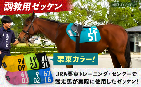 JRA/日本中央競馬会】数量限定！調教用ゼッケンと騎手サイン色紙