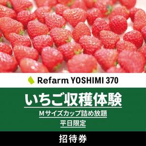 平日限定】詰め放題!いちご収穫体験チケット Refarm YOSHIMI 370