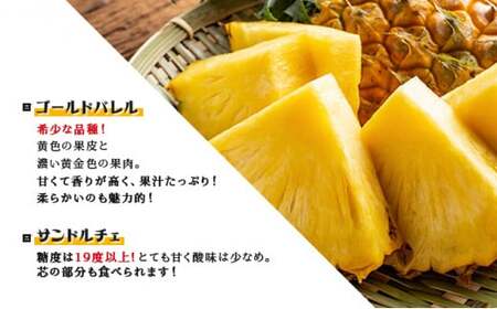 2026年 先行予約 パイン マンゴー セット トロピカルフルーツセット