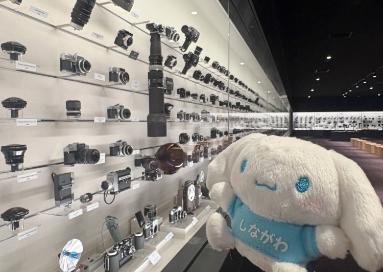 ニコンミュージアム | シナモロールのわくわくしながわタウン