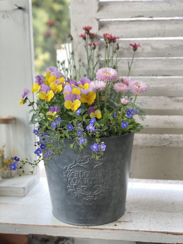 サークルブリキポットMの寄せ植え - Le Ciel（ル・シエル）