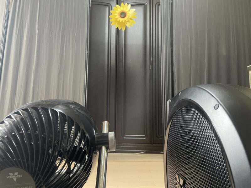 最速！】STRATA-JP(ストラータ)をマニアがレビュー！