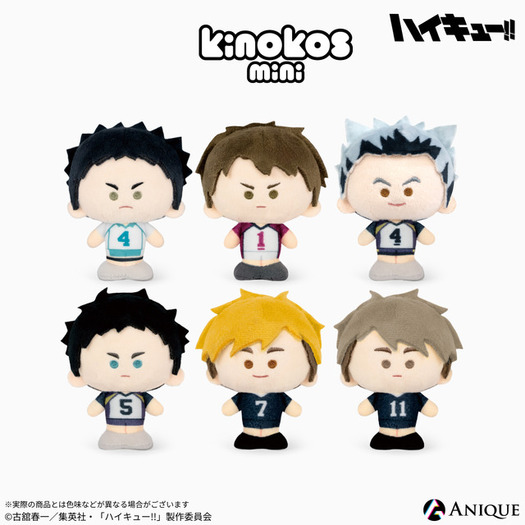 ハイキュー!!」岩泉一、牛島若利、木兎光太郎、赤葦京治、宮兄弟