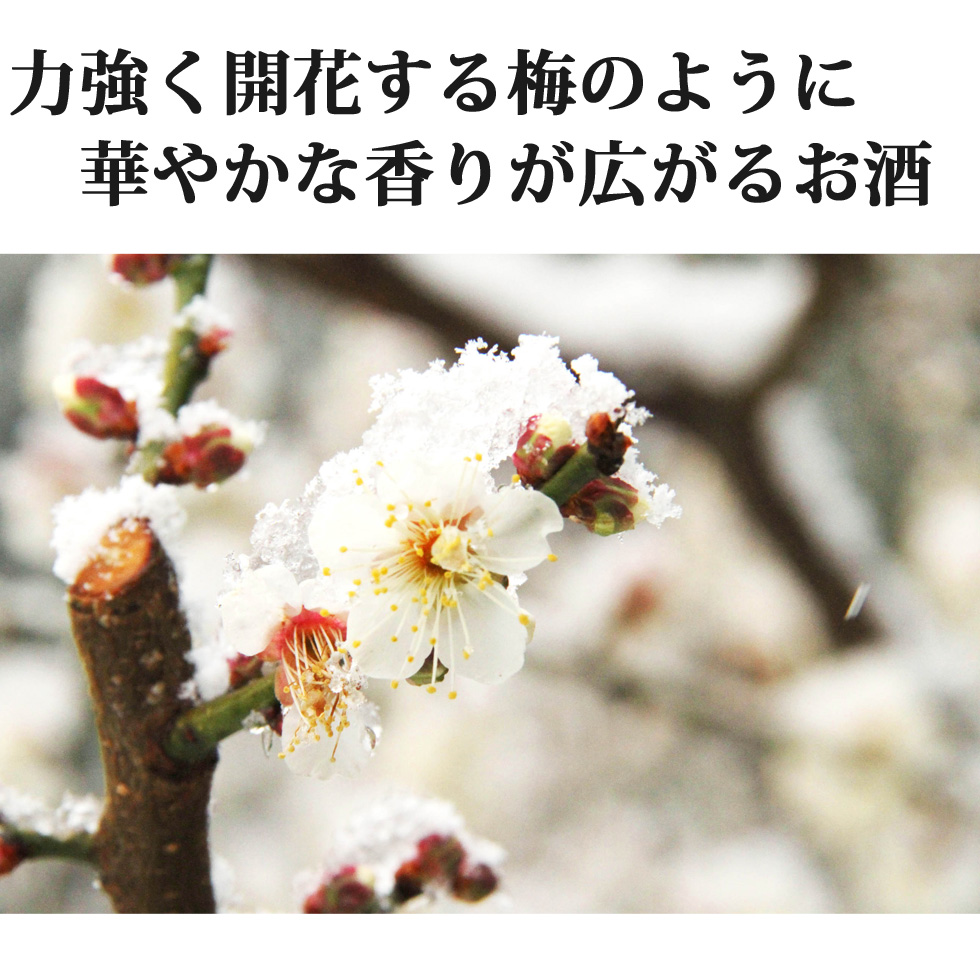 訶梨勒 掛香袋 京都 中野ゆき 訶梨勒 掛香袋 京都 中野ゆき - メルカリ