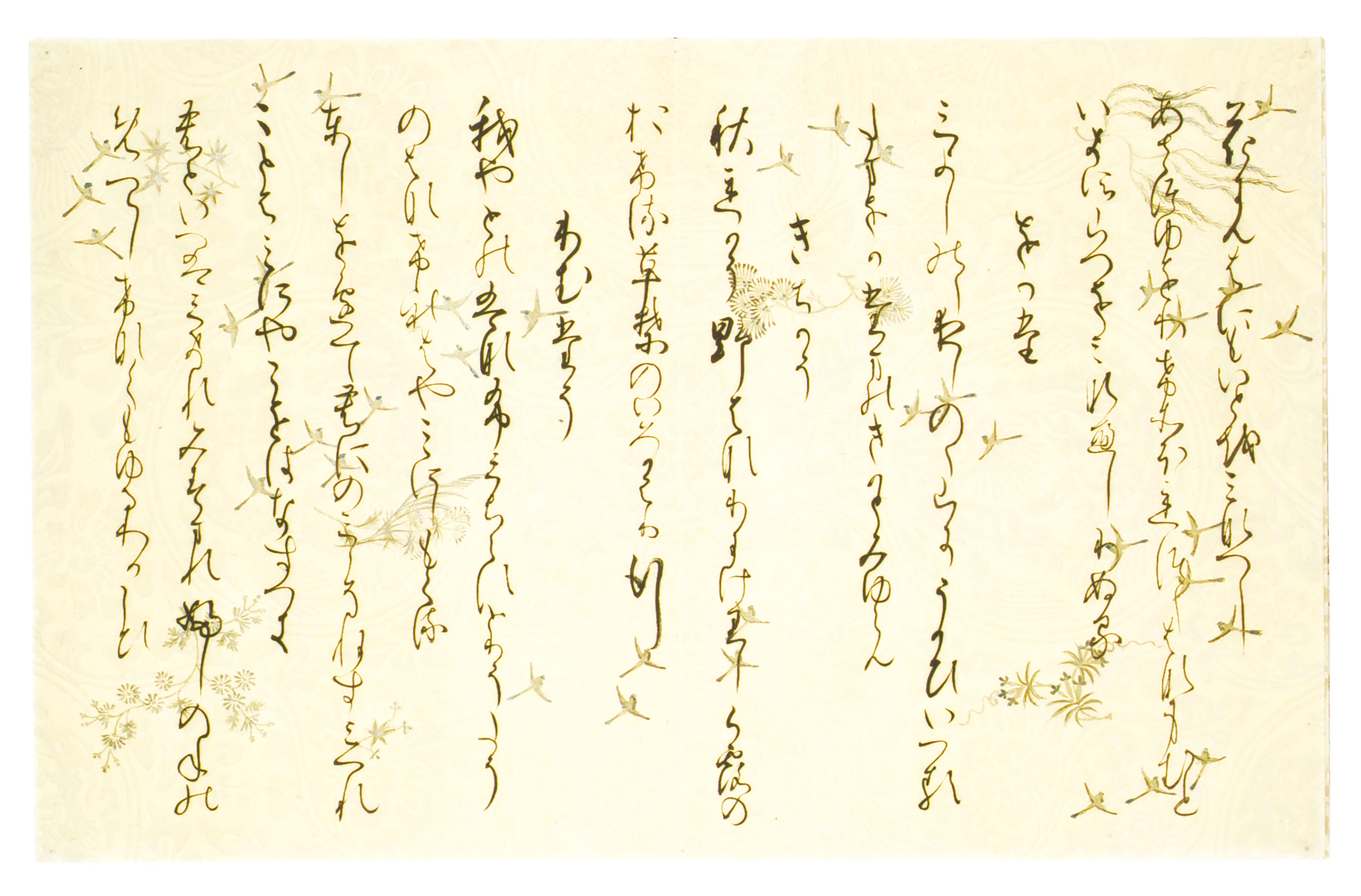 作品詳細: 西本願寺本三十六人集 友則集