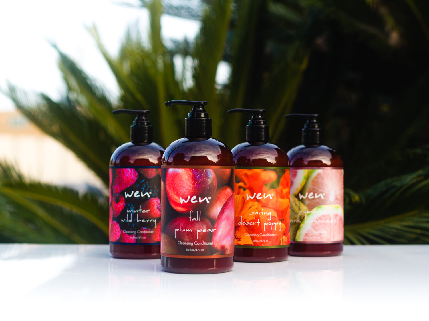 Seasonal 4-pc 16oz Cleansing Conditioner - WEN®