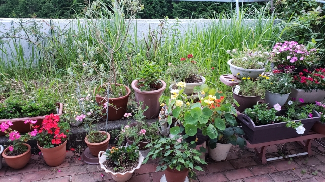 東京都中野区で植木鉢、土、園芸用品の回収処分はカモミールにお任せ