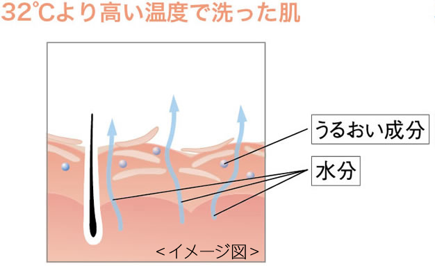 SERKIS | シャンソン化粧品
