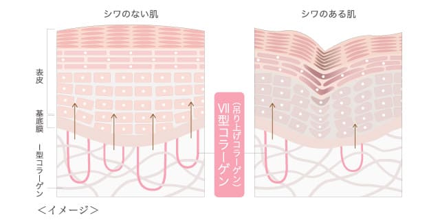 Victline | シャンソン化粧品