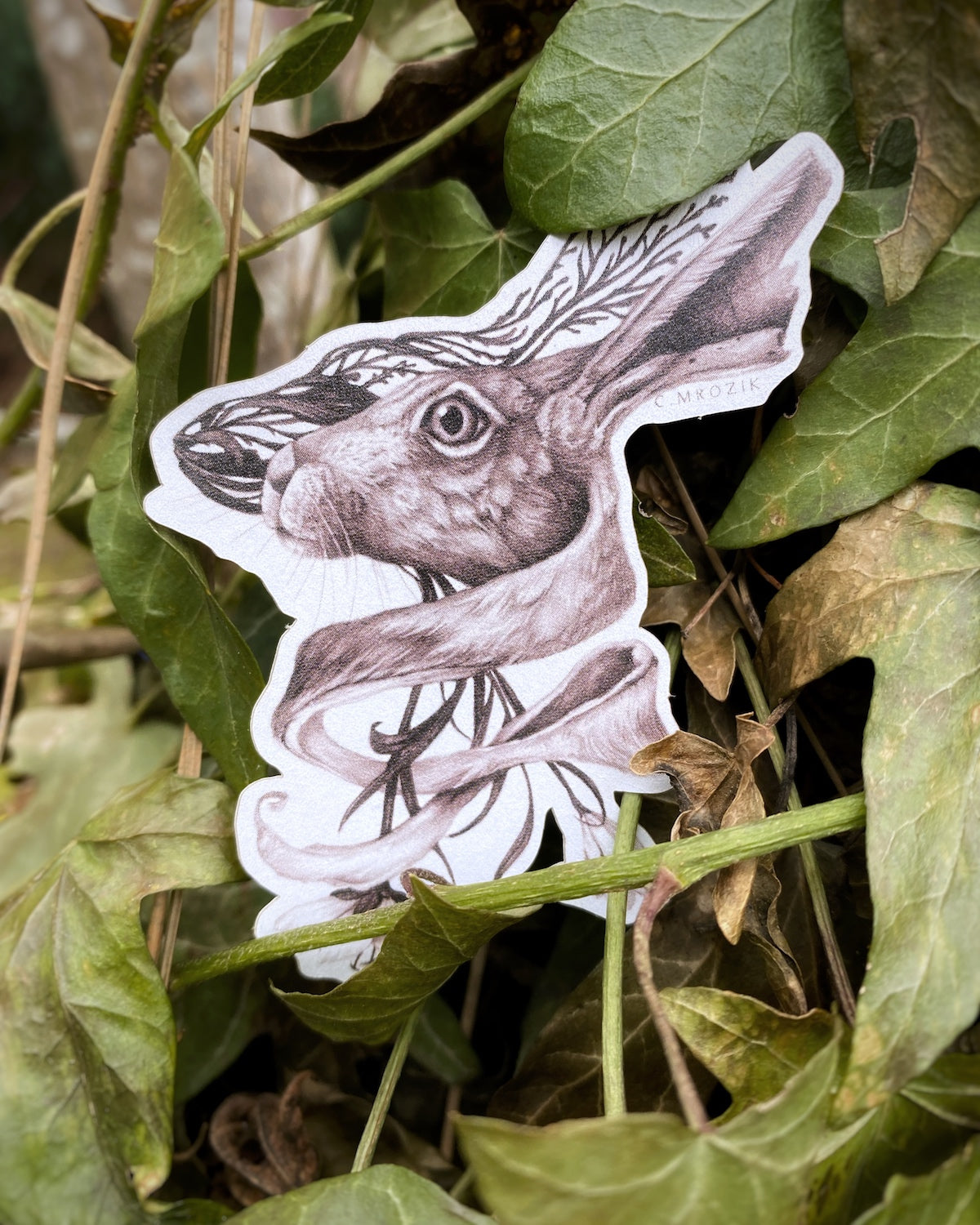 Rabbit - Sticker – Christina Mrozik