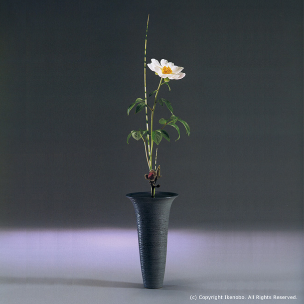 池坊花道三种样式| 池坊花道的源流