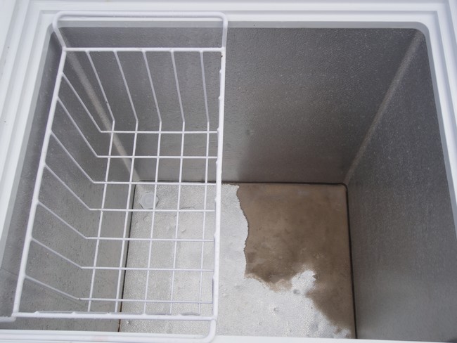 中古厨房機器 販売・買取の大阪厨房本舗/エレクトロラックス 冷凍庫