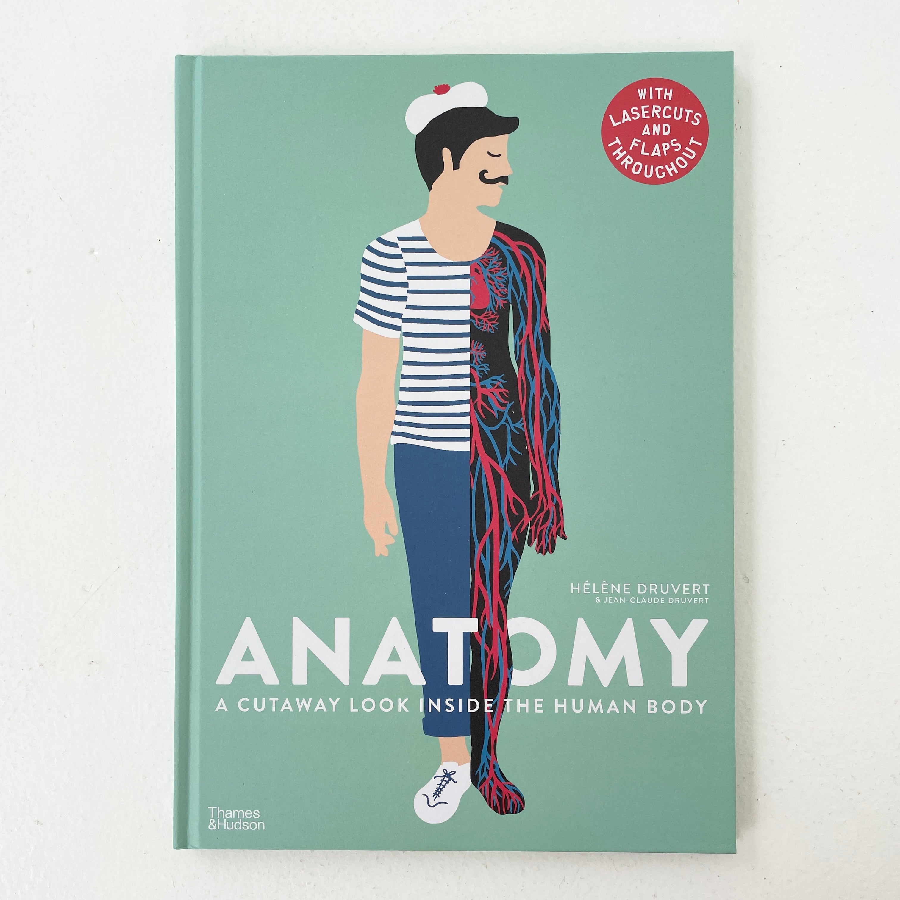 ANATOMY: A CUTAWAY LOOK INSIDE THE HUMAN BODY – Common Circus