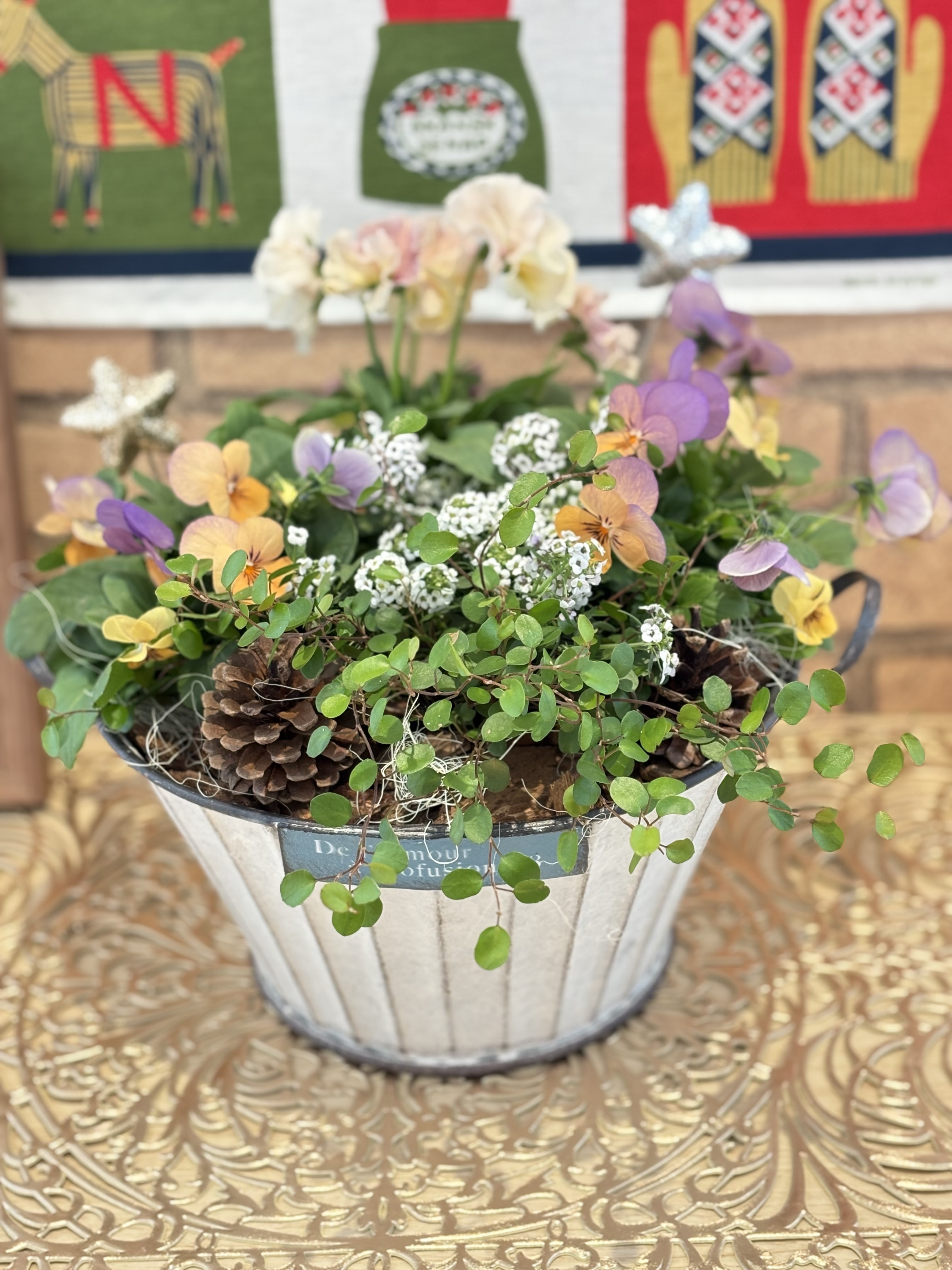 ブリキ鉢に寄せ植え | CAINZ DIY Square