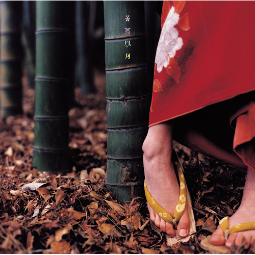 花鳥風月+ (重量盤) [完全受注限定生産盤][アナログ] - スピッツ