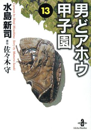 コミック全巻セット・まとめ買い】男どアホウ甲子園(文庫版)(全18巻