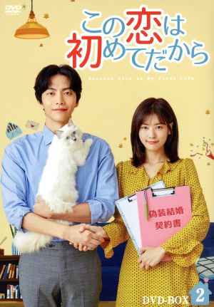 この恋は初めてだから ～Because This is My First Life DVD-BOX2 中古