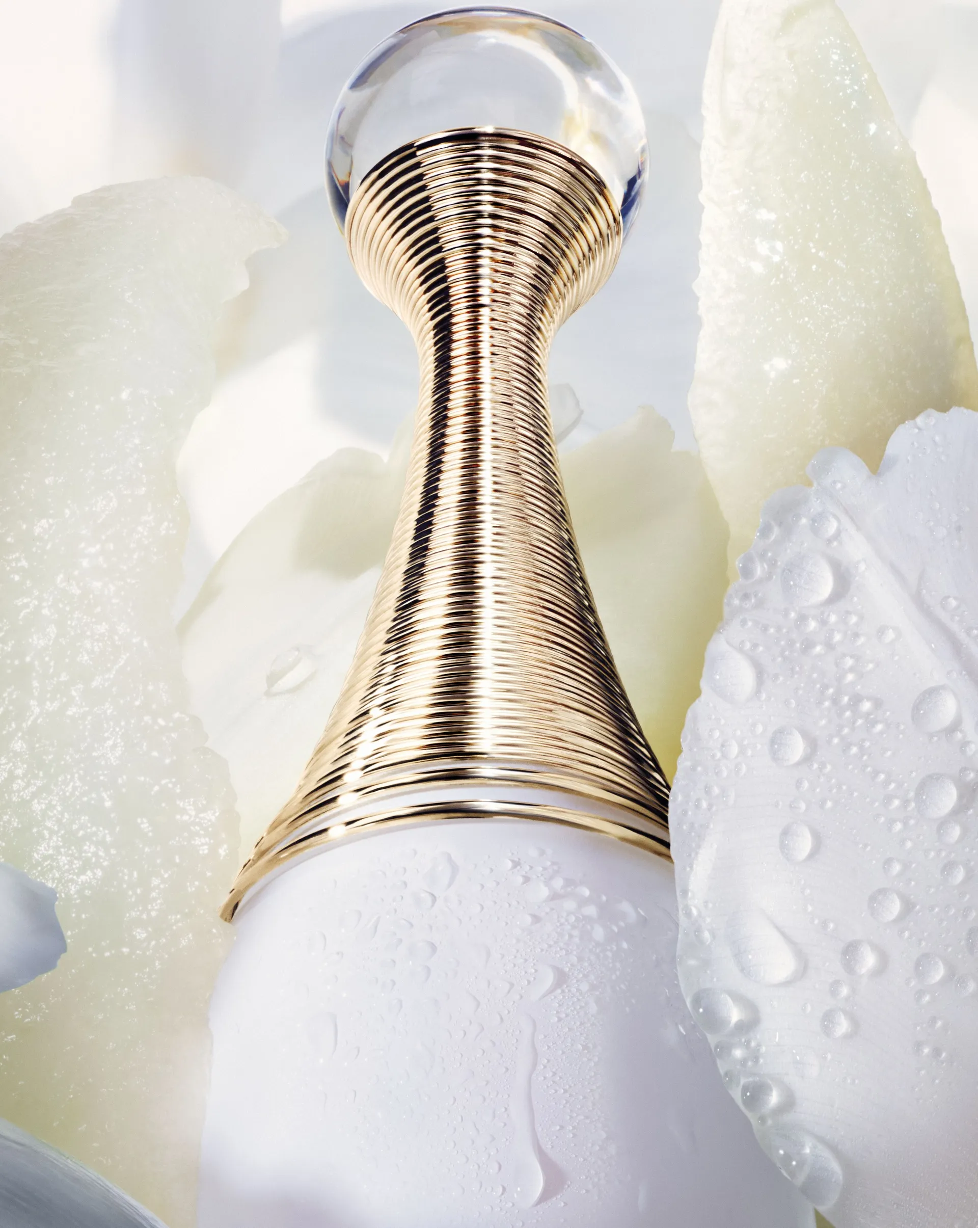 Dior J'adore Parfum d'eau | Dillard's