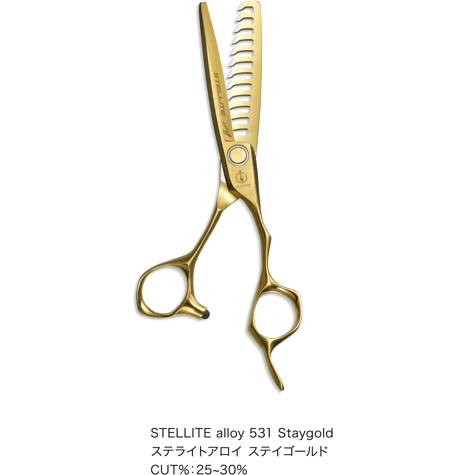 特集 メンズカット応援フェア 2024 | ミズタニシザーズ