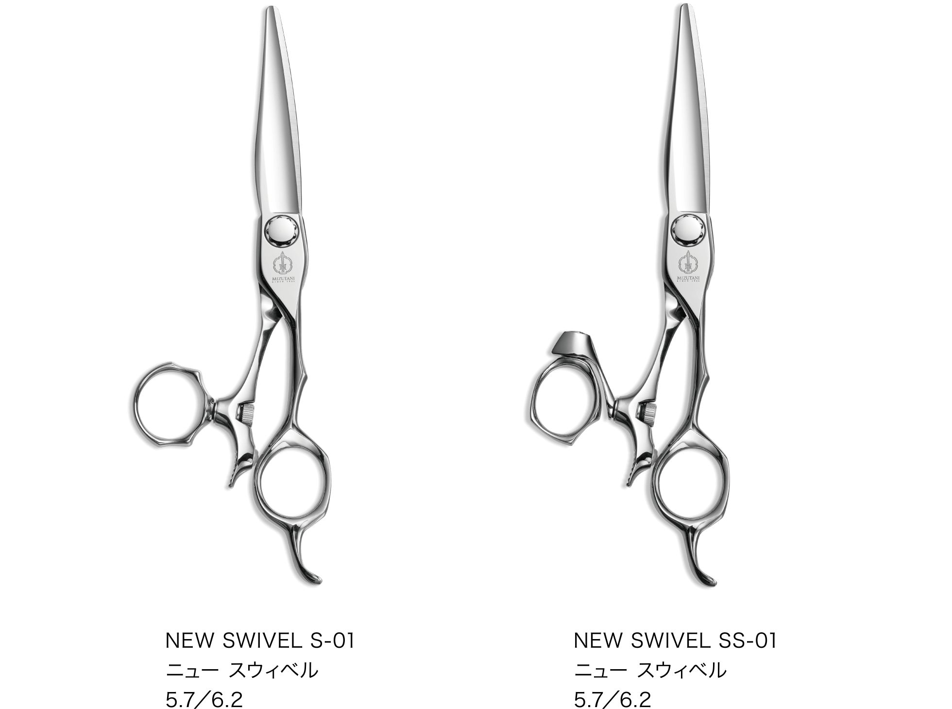 特集 新製品 2025 | ミズタニシザーズ