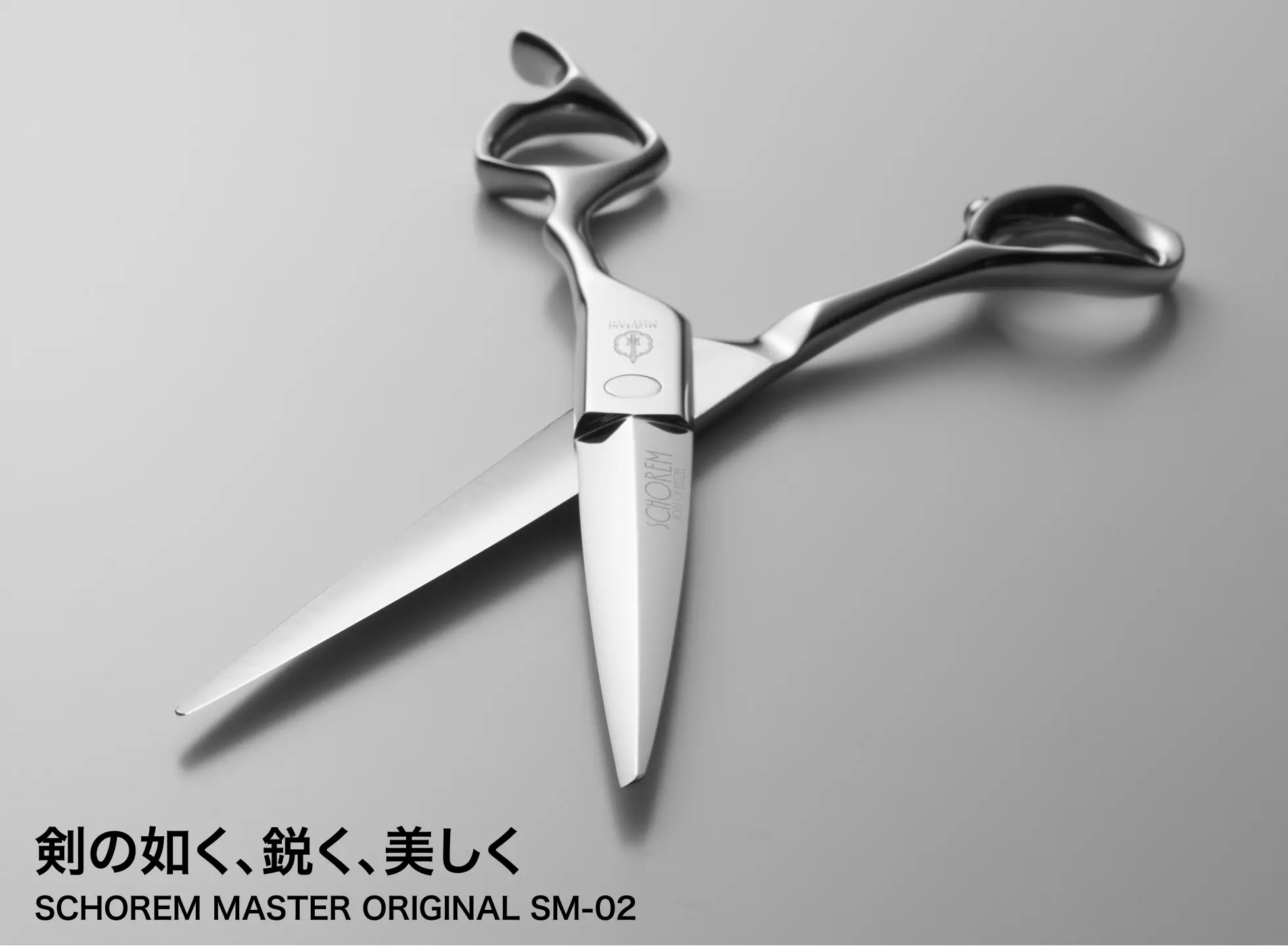 特集 シザーフェア 2025 | ミズタニシザーズ