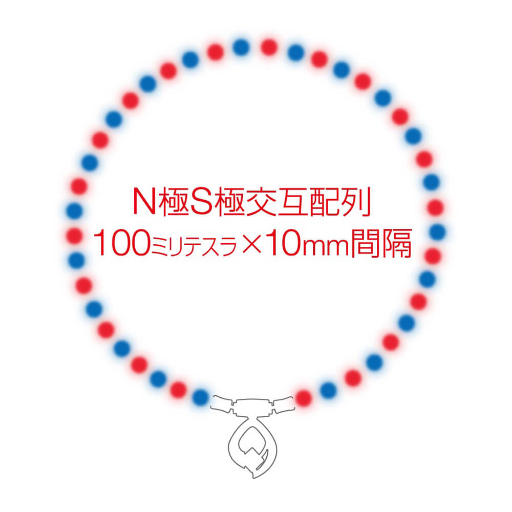 5年の開発を経てたどり着いたTAOシリーズ史上最高磁力のハイエンド