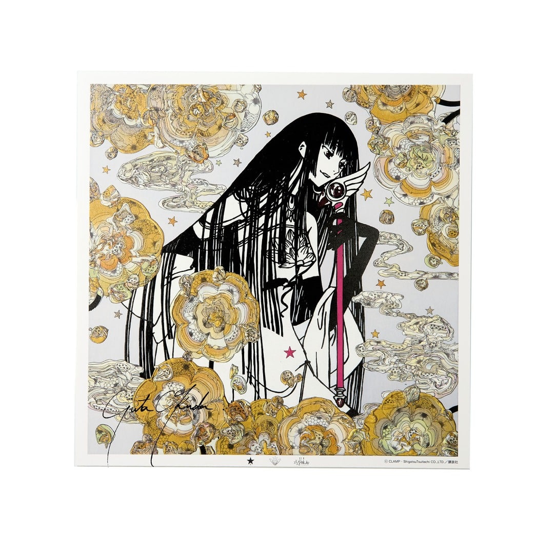 今期新品未使用 converse TOKYO靴紐レースアップスリーブ スゥエット