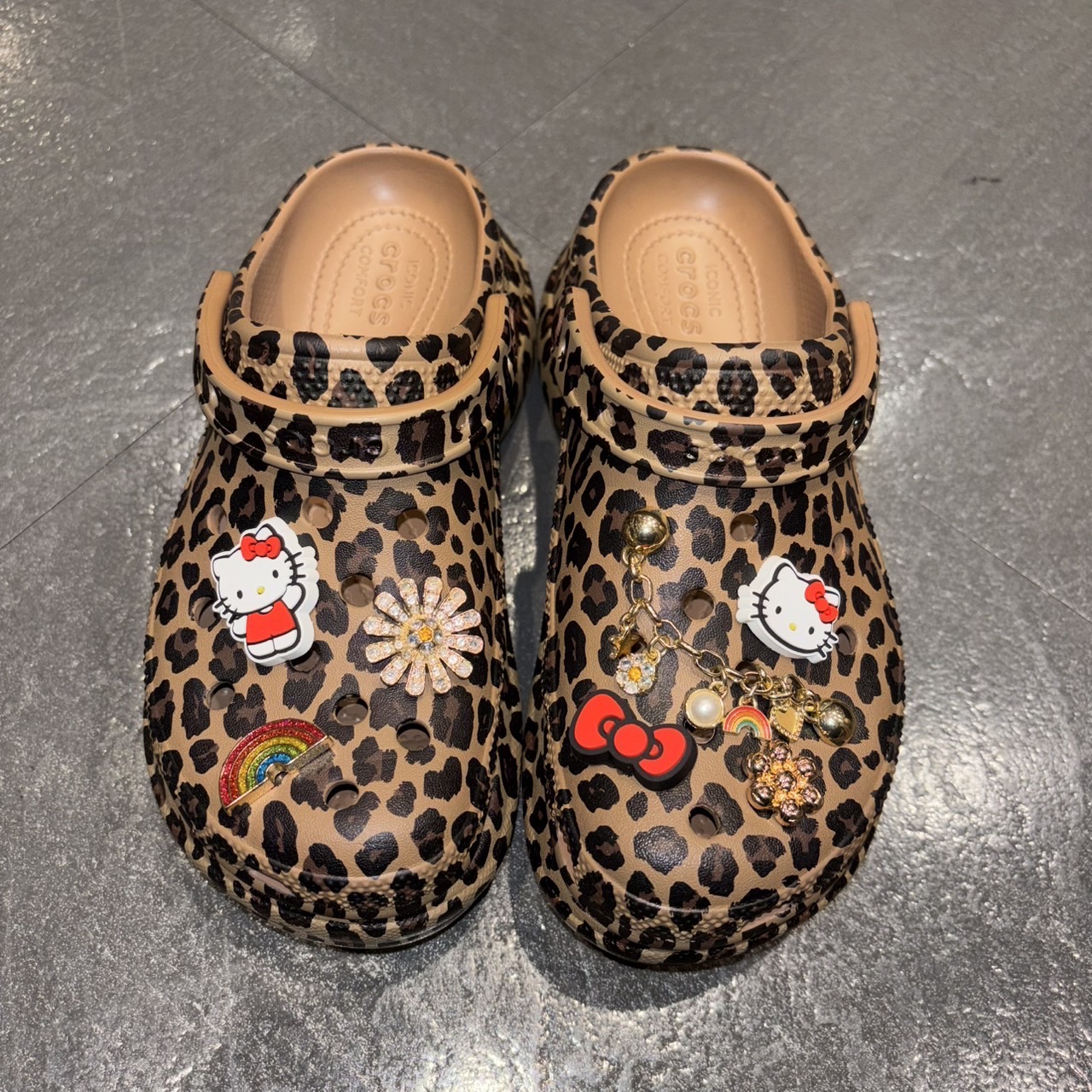 ANIMAL CROG | ABC-MART/ABC-MART SPORTS/Charlotte | COCOSA｜熊本下