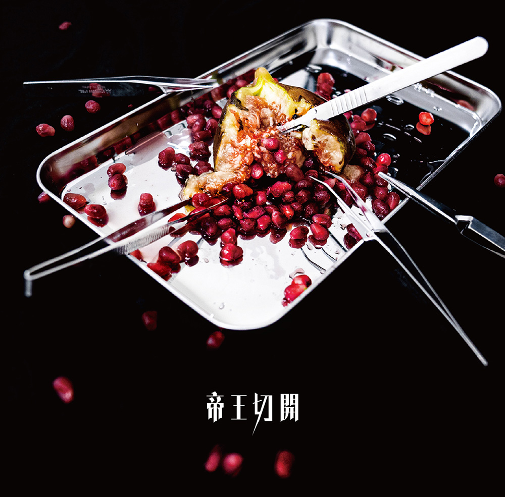 DISCOGRAPHY｜コドモドラゴン Official web site