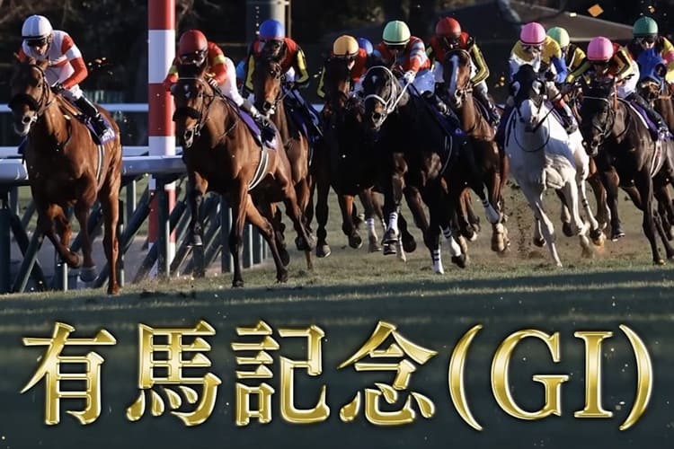 有馬記念 入場券は転売横行で15倍超 中山競馬場に異常熱、豪華出走馬と