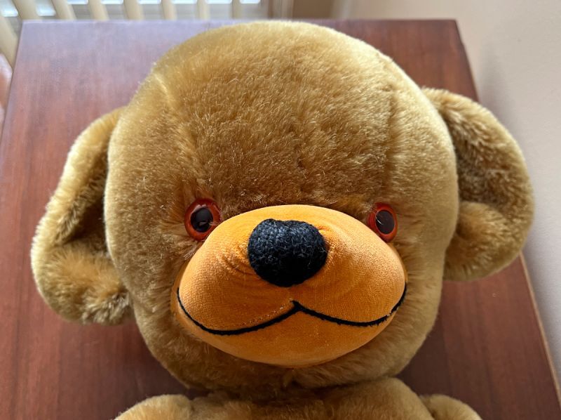 ビンテージ チーキーベア メリーソート REGDタグ