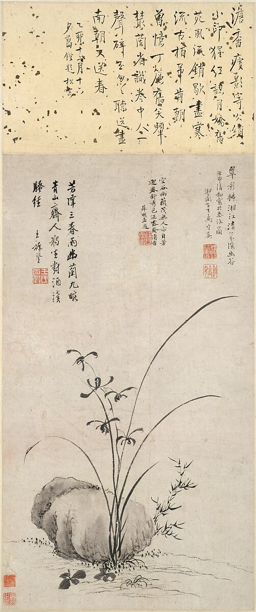Attributed to Ma Shouzhen - Orchid and rock - China - Ming dynasty