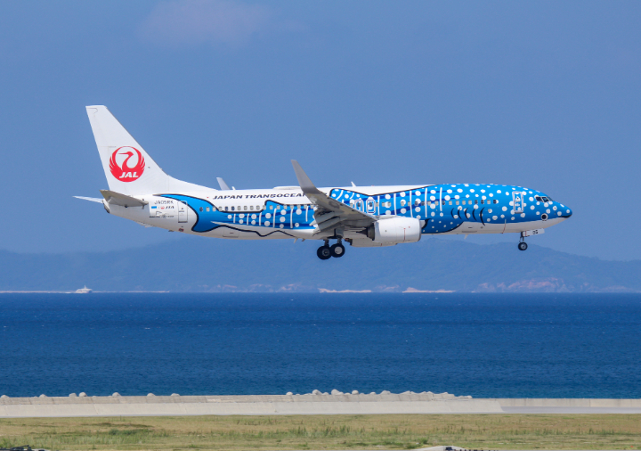 JTA ボーイング737-800 さくらジンベエ: 衣類・ライフスタイルグッズ