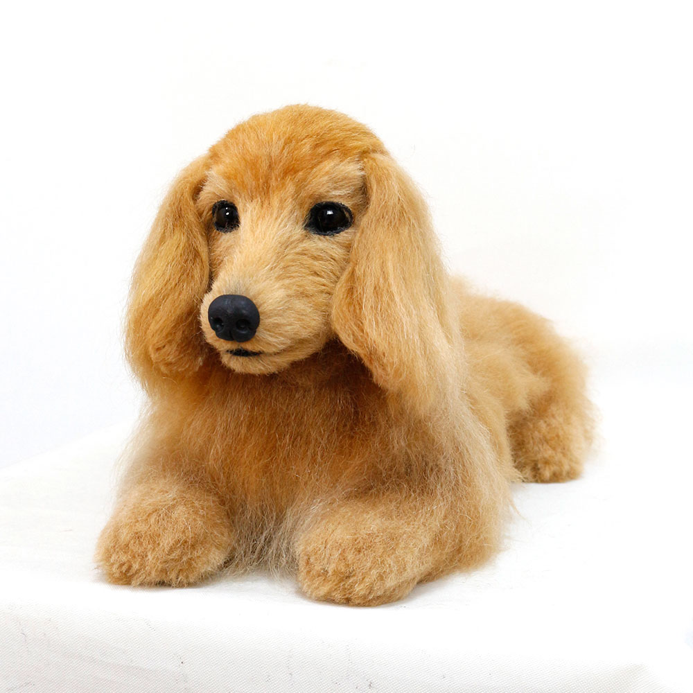 230705 ラッキーちゃん ミニチュアダックスフンド - 【公式