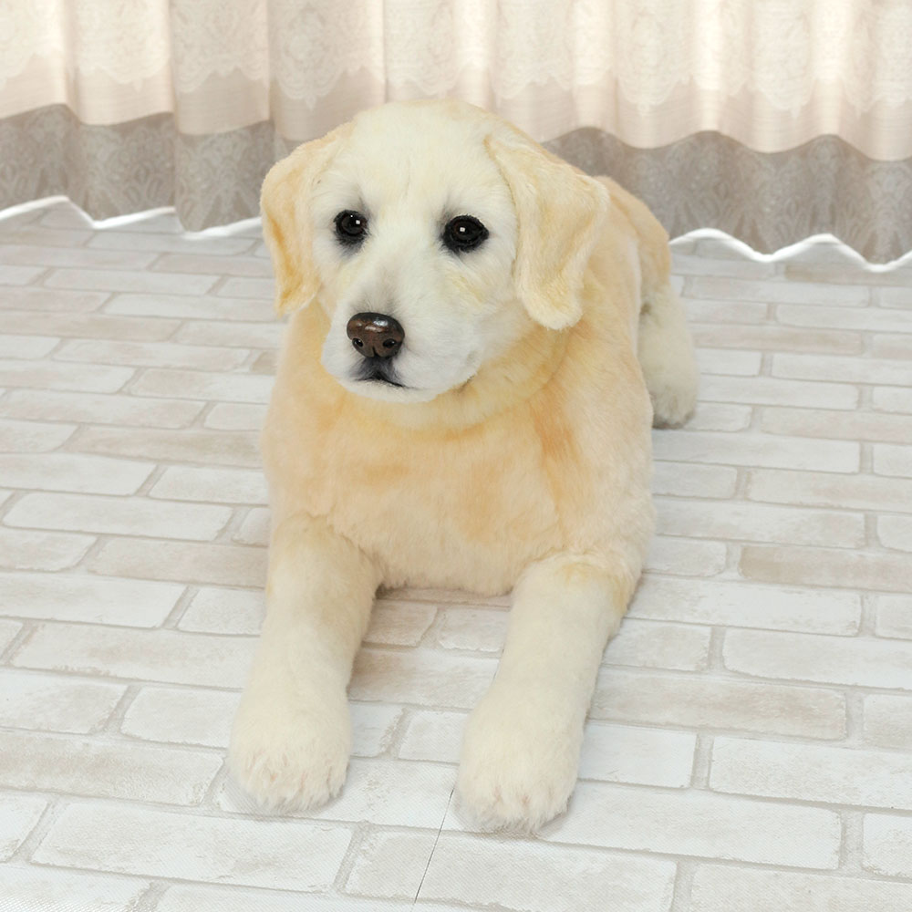 240514 シロちゃん ラブラドールレトリバー - 【公式】ぬいぐるみの