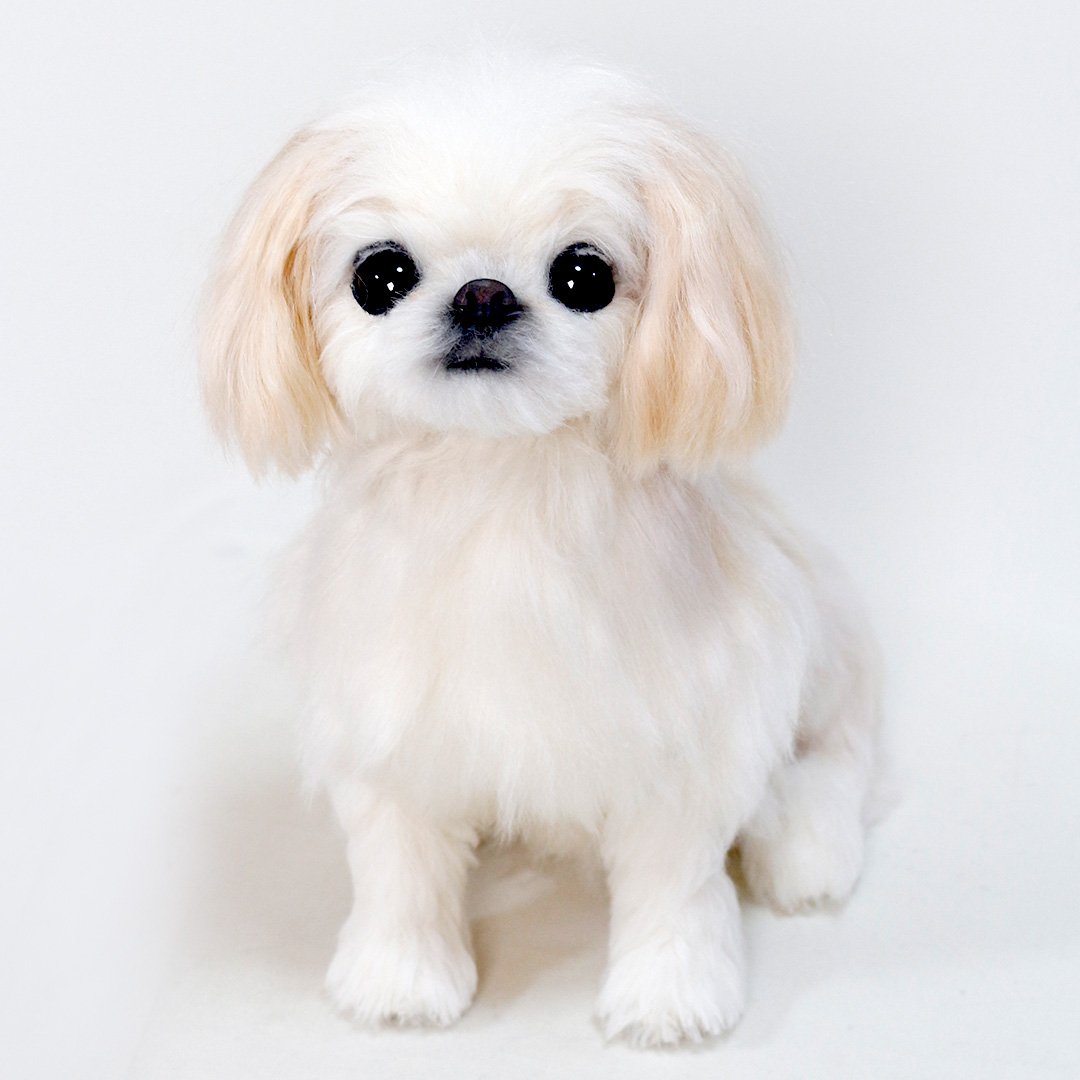 240715 トビーちゃん ペキニーズ - 【公式】ぬいぐるみのオーダー