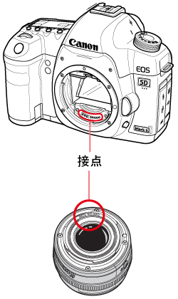 デジタル一眼レフカメラ】AF（オートフォーカス）が作動しない（EOS 5D